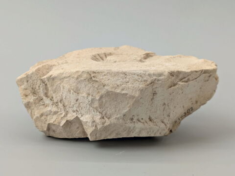 moule d'orfèvre ; boucle d'oreille en croissant, image 5/5