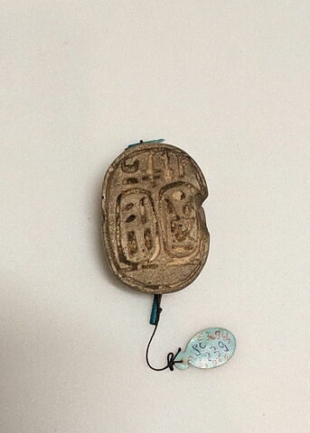 scarabée, image 1/2