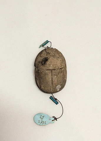 scarabée, image 2/2