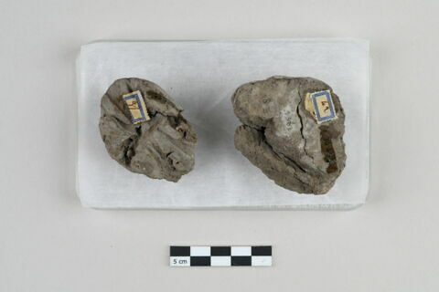 bouchon de jarre en calotte ; empreinte de sceau, image 5/7