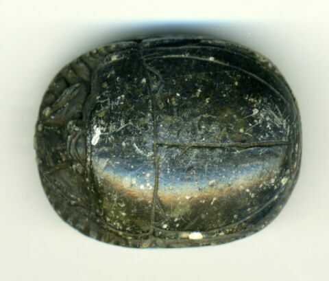 scarabée, image 1/1