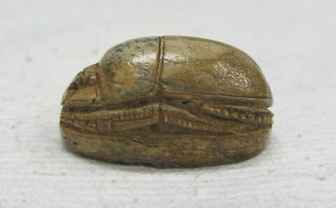 scarabée ; sceau, image 3/4