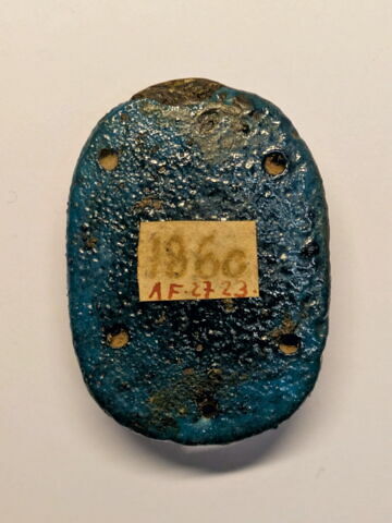 scarabée funéraire, image 2/2