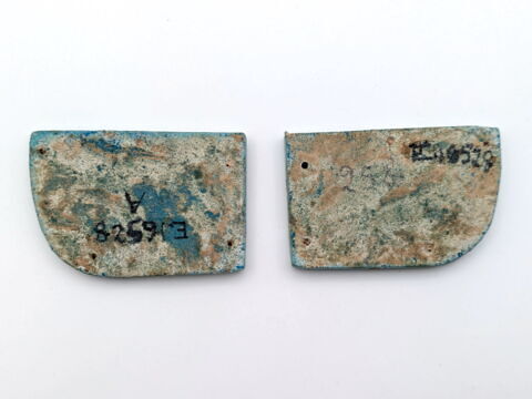 aile droite de scarabée funéraire ; aile gauche de scarabée funéraire, image 2/2