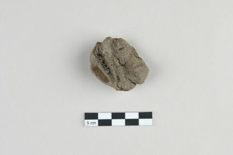 bouchon de jarre en calotte ; empreinte de sceau, image 2/3