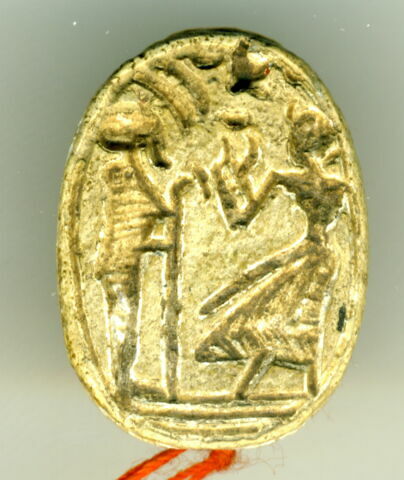 scarabée, image 5/5