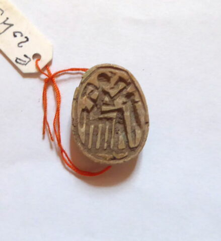 scarabée, image 1/4