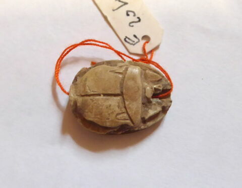 scarabée, image 2/4