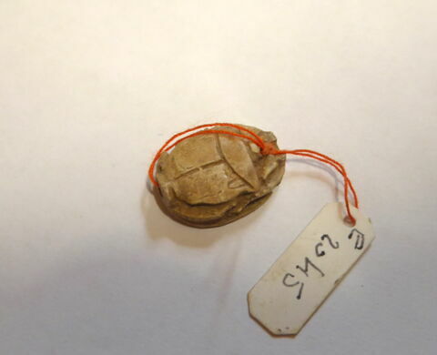 scarabée, image 3/4