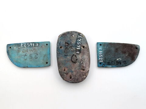 scarabée funéraire ; aile droite de scarabée funéraire ; aile gauche de scarabée funéraire, image 2/2