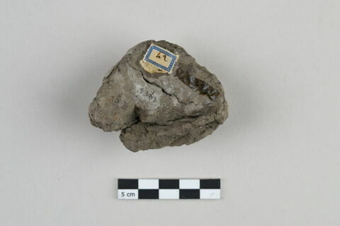 bouchon de jarre en calotte ; empreinte de sceau, image 2/5
