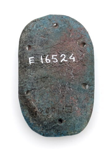 scarabée de cœur, image 2/2