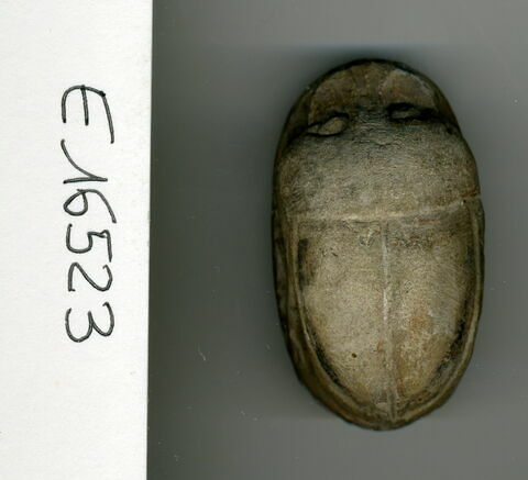 scarabée funéraire, image 1/1