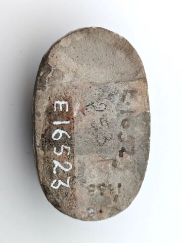 scarabée funéraire, image 4/4