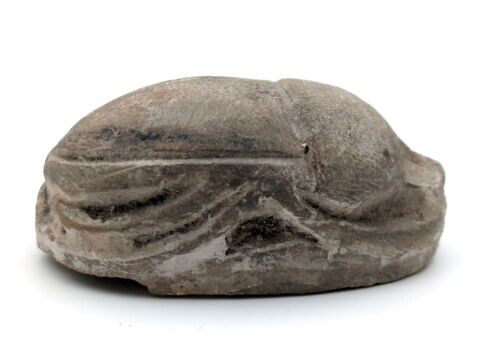 scarabée funéraire, image 2/4