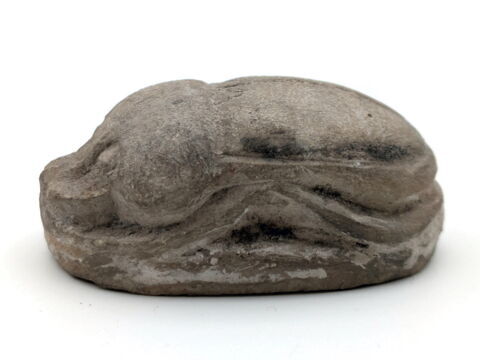 scarabée funéraire, image 3/4