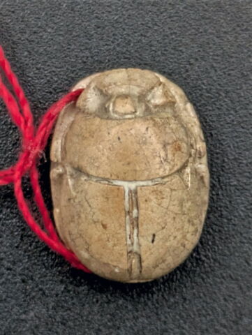 scarabée, image 2/2