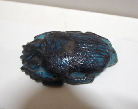 scarabée funéraire, image 3/4