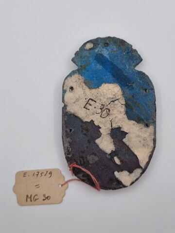 scarabée funéraire, image 2/2