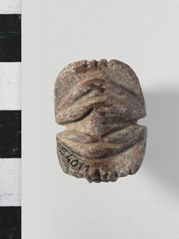 scarabée à ventre détaillé, image 2/4