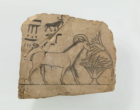 ostracon figuré, image 1/2