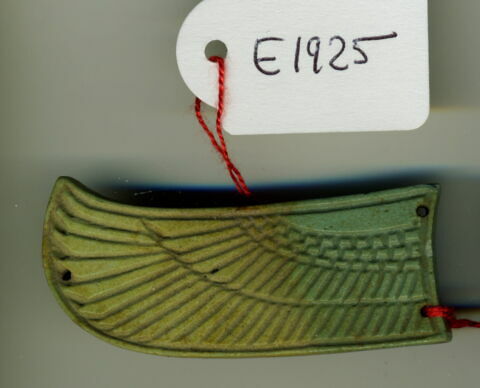 aile gauche de scarabée funéraire, image 2/3
