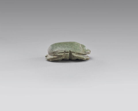 scarabée à ventre détaillé, image 3/4