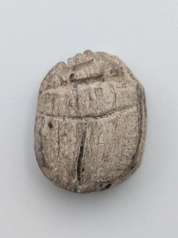 scarabée, image 2/2