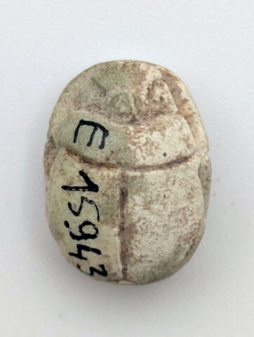 scarabée, image 2/2