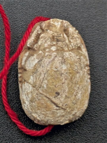 scarabée, image 2/2