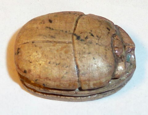 scarabée, image 3/4