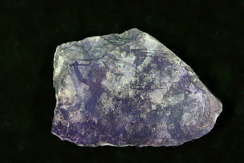 ostracon figuré, image 6/8
