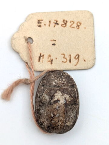 scarabée, image 2/2