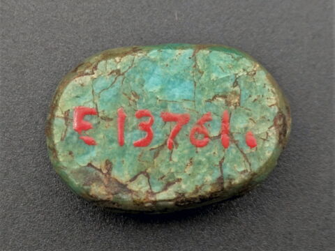 scarabée, image 2/2