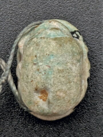 scarabée, image 2/2