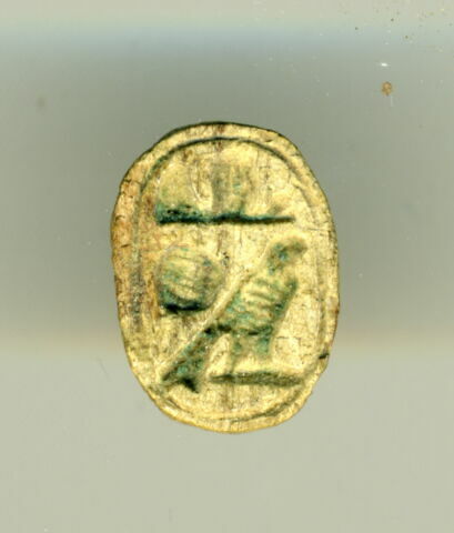scarabée, image 1/1