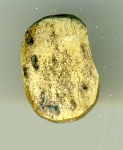 perle en pastille ovale ; scaraboïde, image 2/2