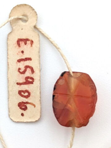 scarabée, image 1/3