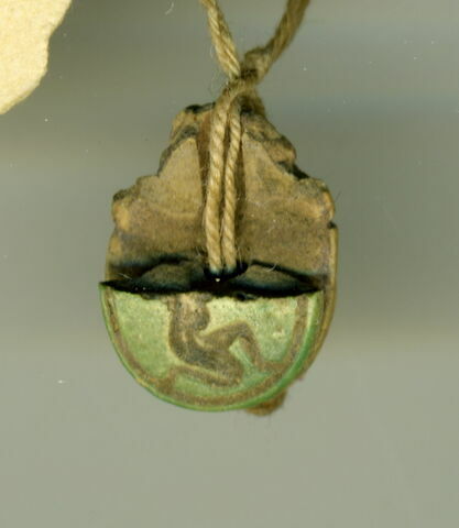 scarabée, image 1/2