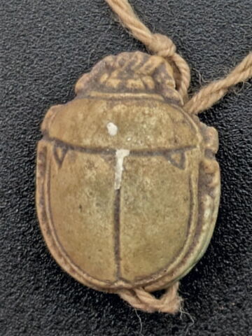 scarabée, image 2/2