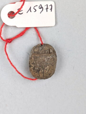 scarabée, image 2/2