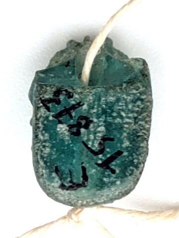 scarabée, image 1/2