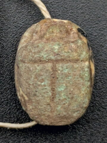 scarabée, image 2/2