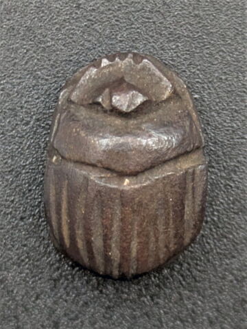 scarabée, image 2/2
