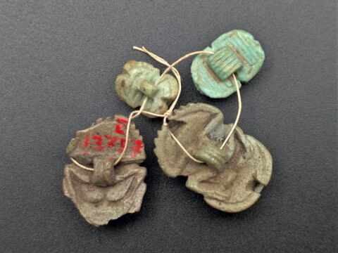 scarabée à ventre détaillé, image 3/4
