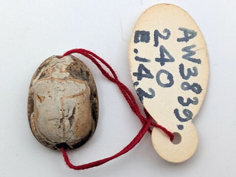 scarabée, image 2/2