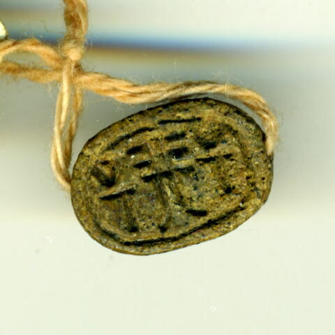 scarabée, image 1/1