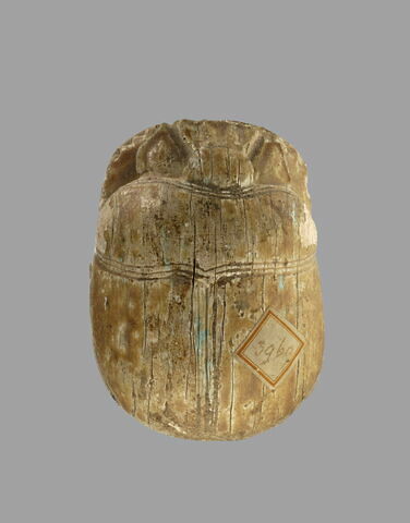 Scarabée commémoratif de la chasse aux lions d'Amenhotep III, image 2/3