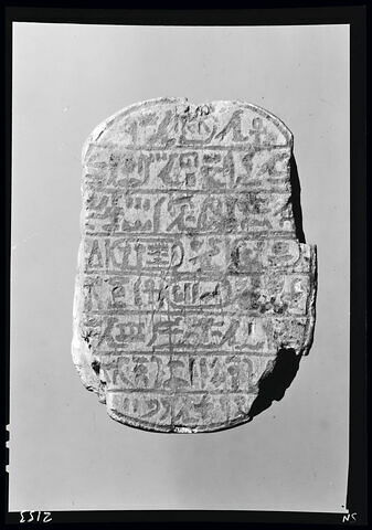 Scarabée commémoratif de la chasse aux lions d'Amenhotep III, image 3/3