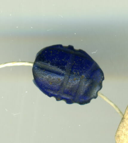 scarabée, image 1/1